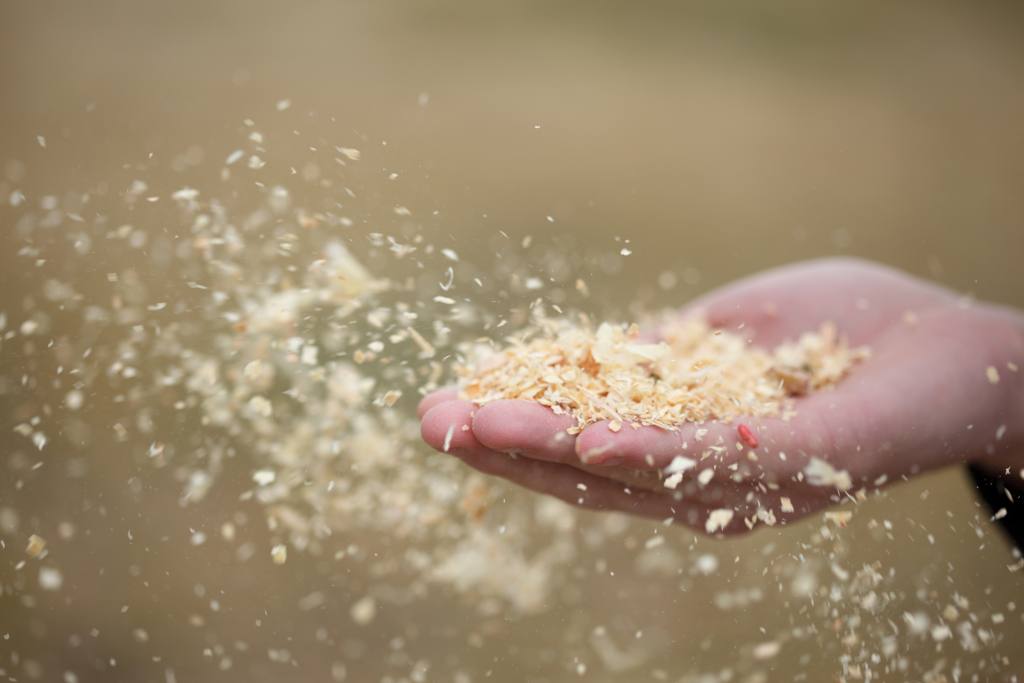 sawdust
