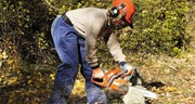 Chainsaw Safety